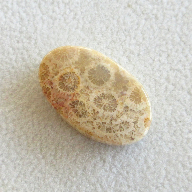 フォッシルコーラル 天然石ルースペア