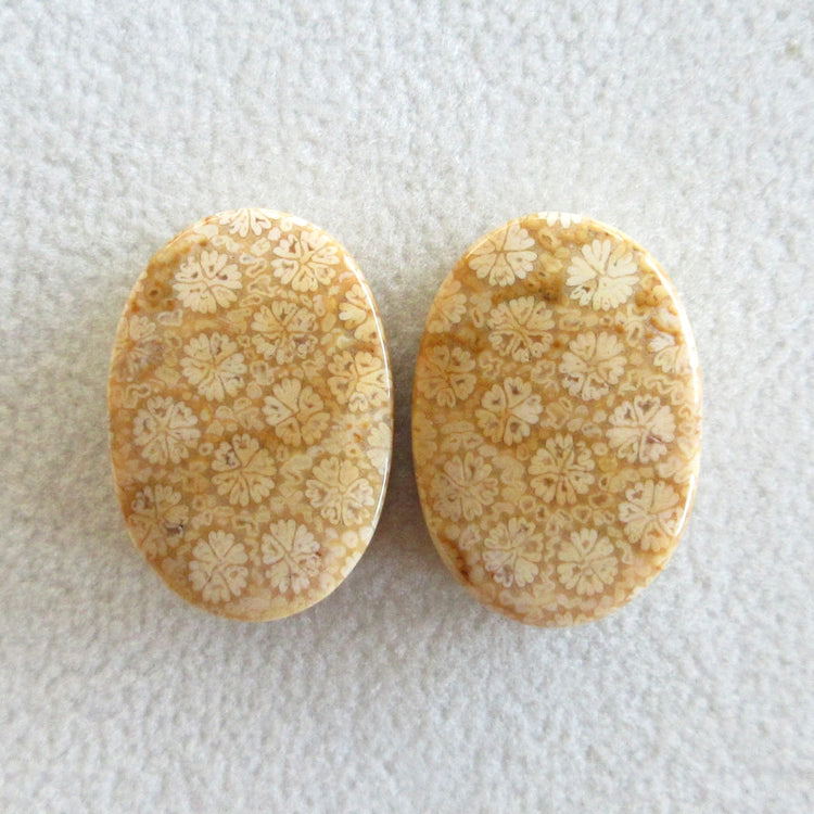 フォッシルコーラル 天然石ルースペア