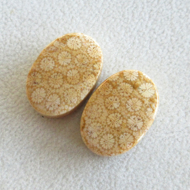 フォッシルコーラル 天然石ルースペア