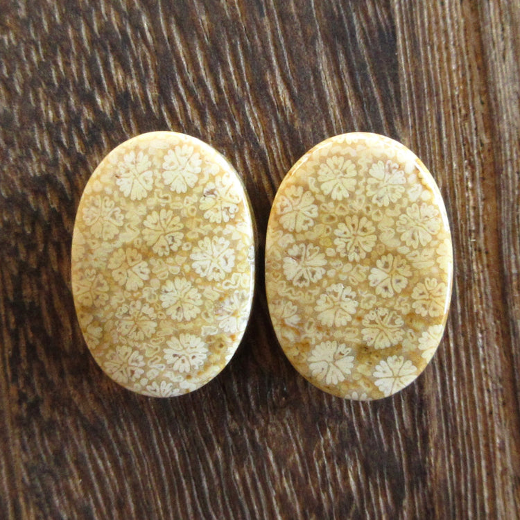 フォッシルコーラル 天然石ルースペア