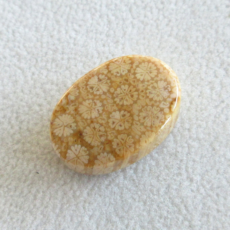 フォッシルコーラル 天然石ルースペア