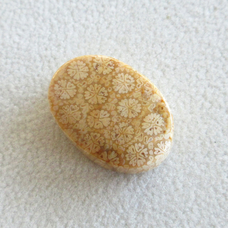 フォッシルコーラル 天然石ルースペア