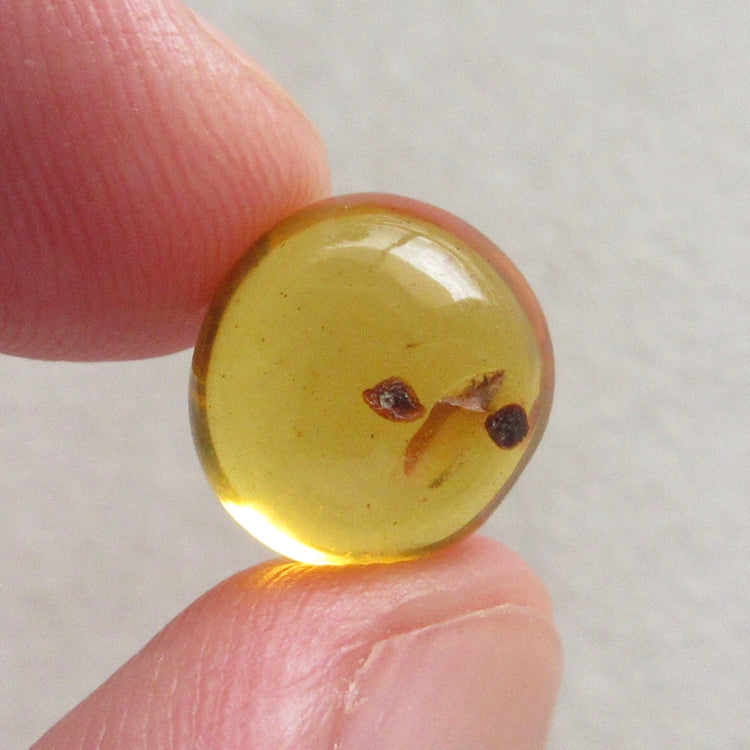 バーマイト ミャンマー産アンバー 天然石ルース