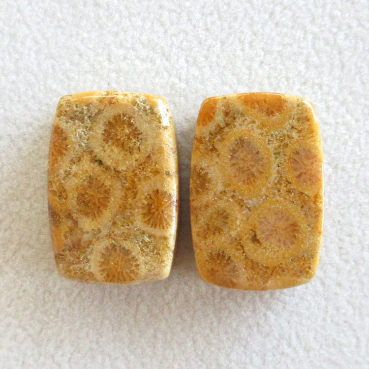 フォッシルコーラル　天然石ルースペア