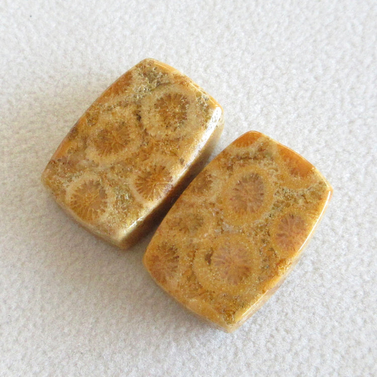 フォッシルコーラル　天然石ルースペア