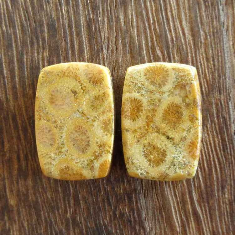 フォッシルコーラル　天然石ルースペア