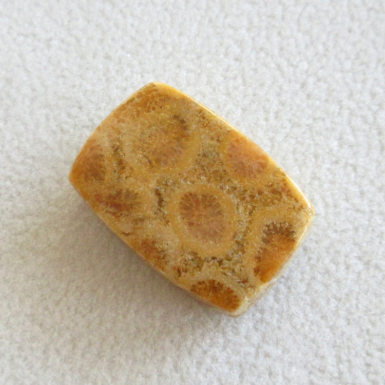 フォッシルコーラル　天然石ルースペア