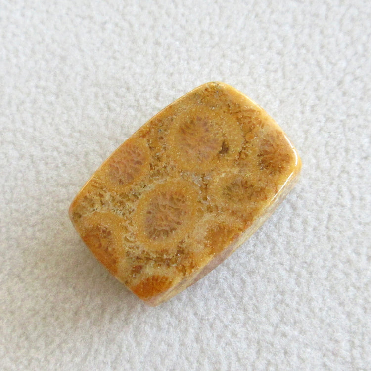 フォッシルコーラル　天然石ルースペア