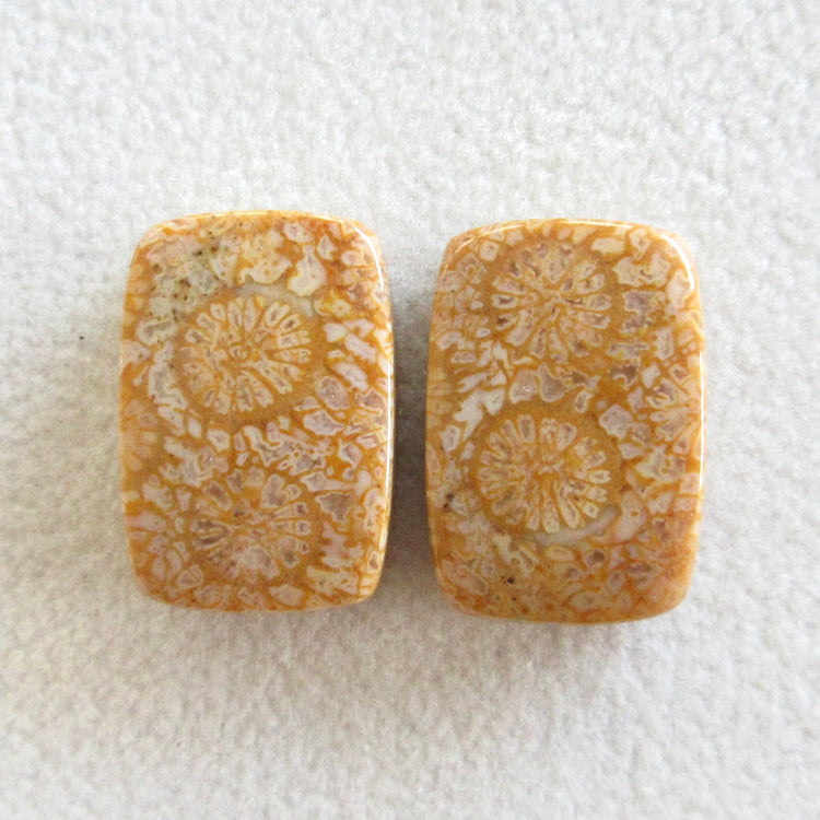 フォッシルコーラル　天然石ルースペア