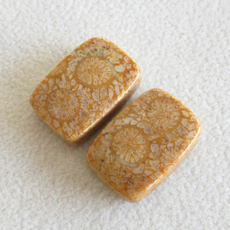 フォッシルコーラル　天然石ルースペア