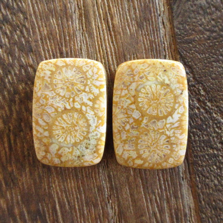 フォッシルコーラル　天然石ルースペア