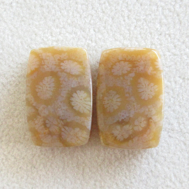 フォッシルコーラル　天然石ルースペア