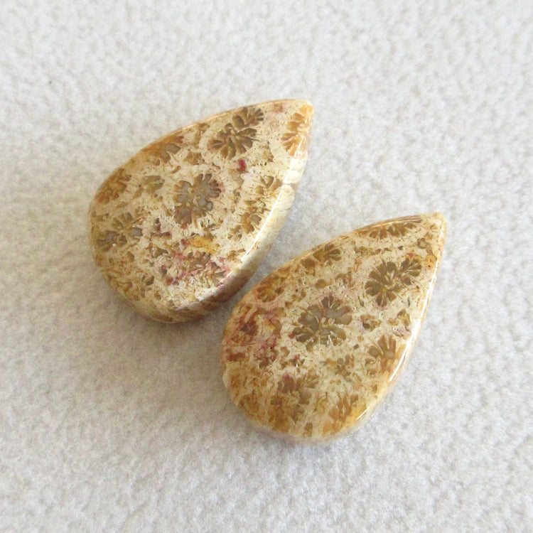 フォッシルコーラル　天然石ルースペア