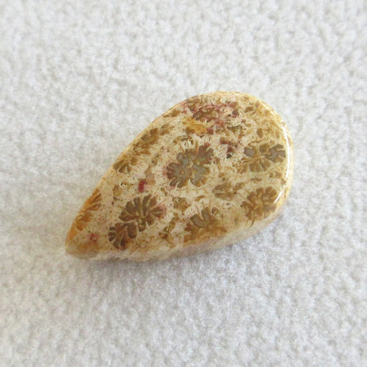 フォッシルコーラル　天然石ルースペア