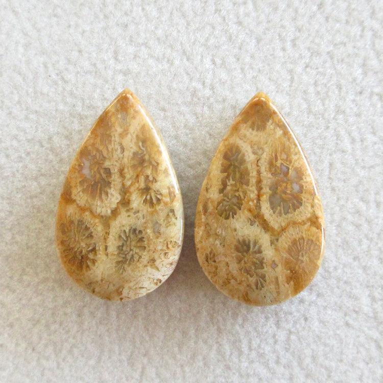 フォッシルコーラル　天然石ルースペア