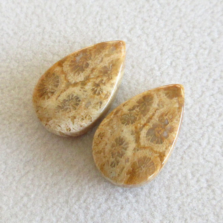 フォッシルコーラル　天然石ルースペア