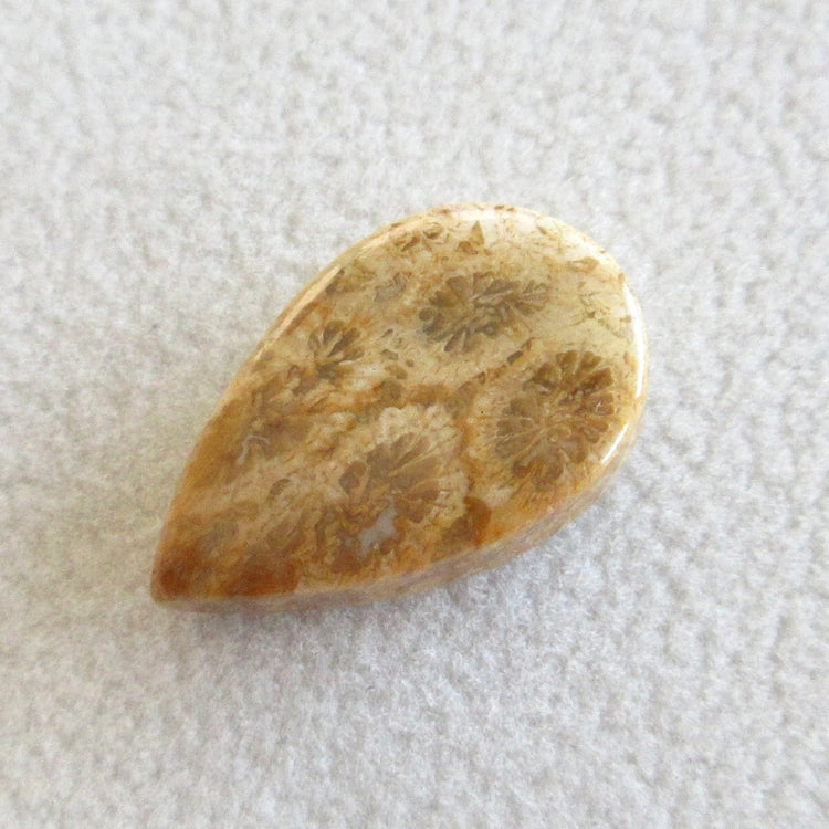 フォッシルコーラル　天然石ルースペア