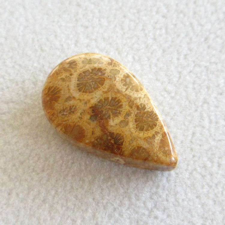 フォッシルコーラル　天然石ルースペア