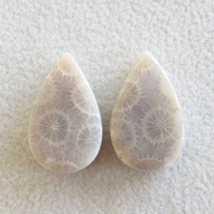 フォッシルコーラル　天然石ルースペア