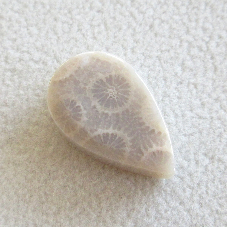 フォッシルコーラル　天然石ルースペア