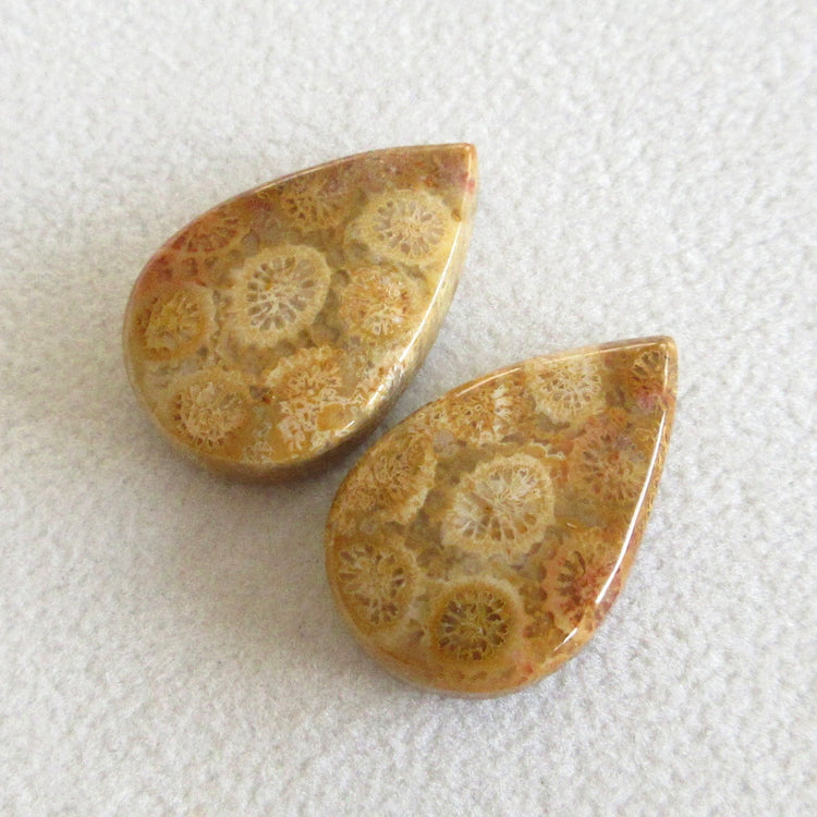 フォッシルコーラル　天然石ルースペア