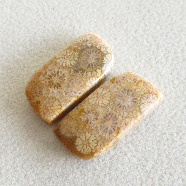 フォッシルコーラル　天然石ルースペア