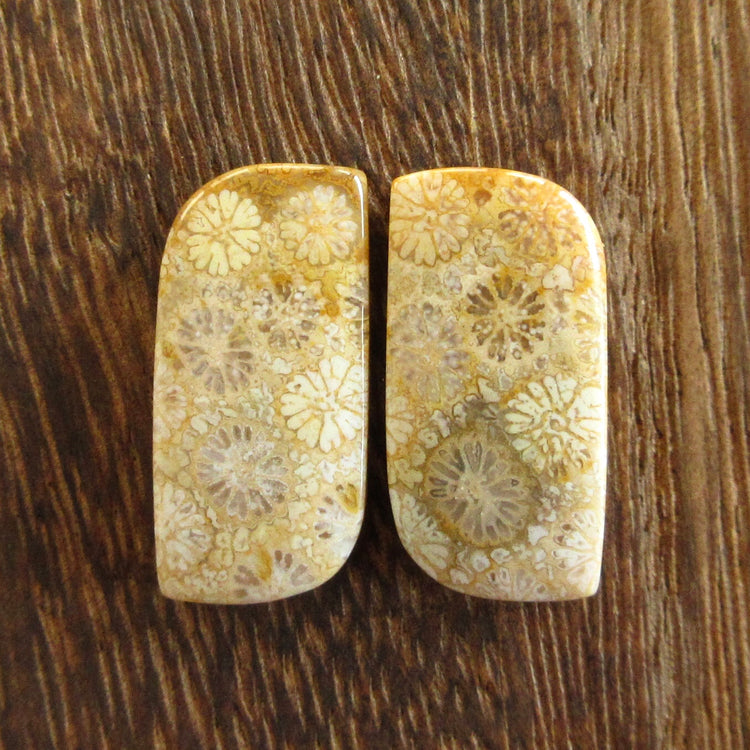 フォッシルコーラル　天然石ルースペア