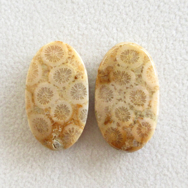 フォッシルコーラル　天然石ルースペア