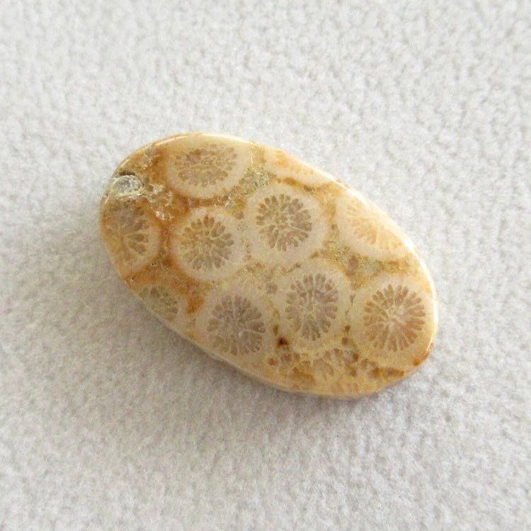 フォッシルコーラル　天然石ルースペア