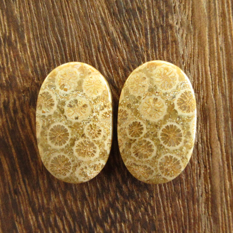 フォッシルコーラル　天然石ルースペア