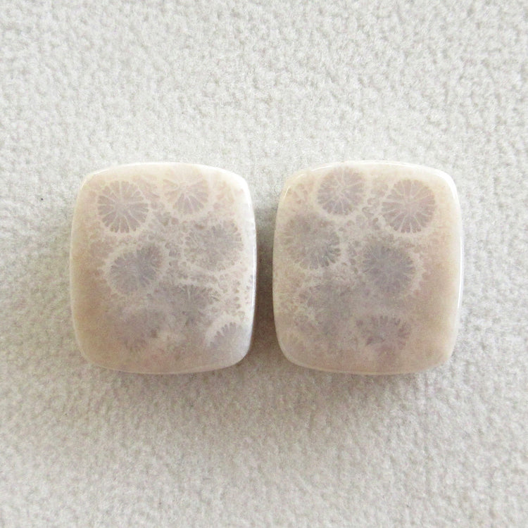 フォッシルコーラル　天然石ルースペア