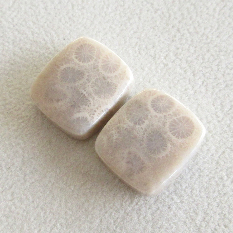 フォッシルコーラル　天然石ルースペア