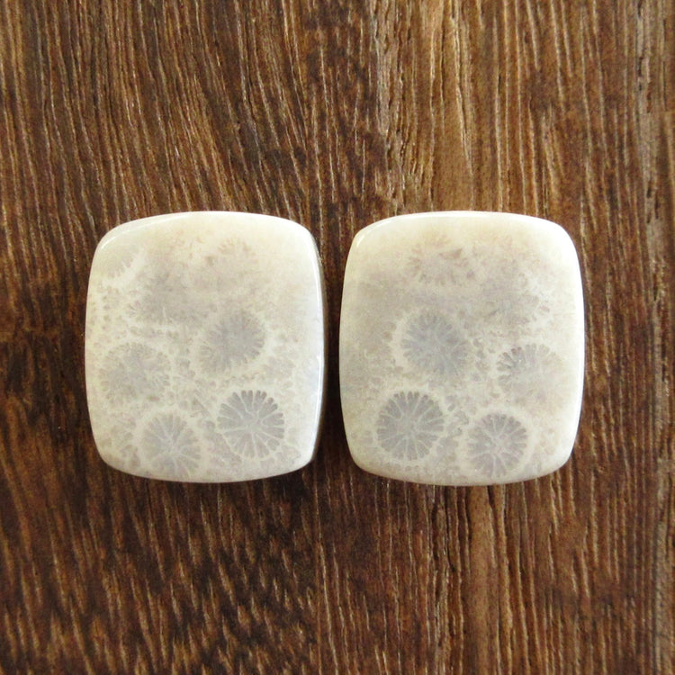 フォッシルコーラル　天然石ルースペア