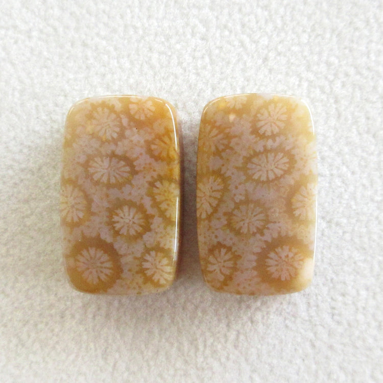 フォッシルコーラル　天然石ルースペア