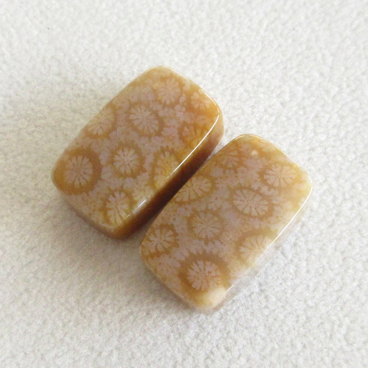 フォッシルコーラル　天然石ルースペア