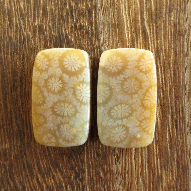 フォッシルコーラル　天然石ルースペア