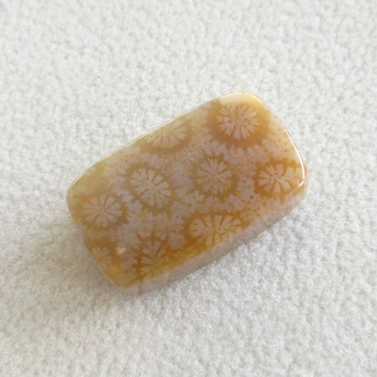 フォッシルコーラル　天然石ルースペア