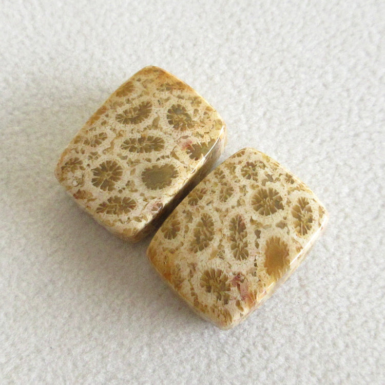 フォッシルコーラル　天然石ルースペア