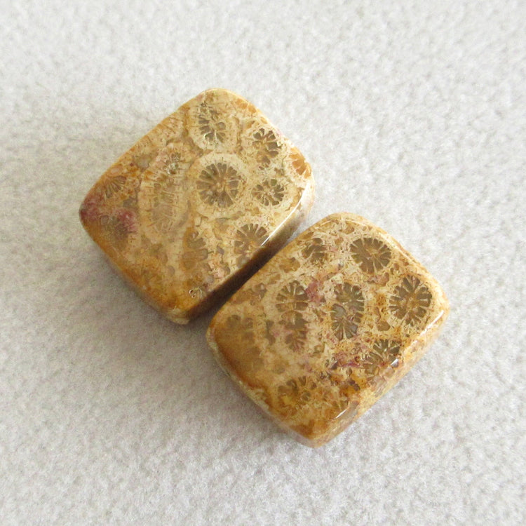 フォッシルコーラル　天然石ルースペア