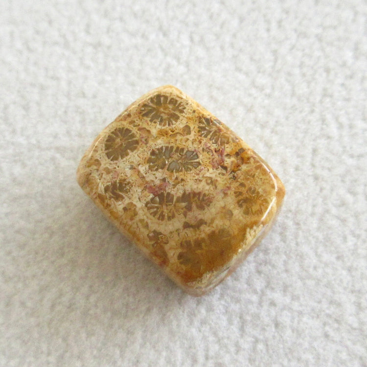 フォッシルコーラル　天然石ルースペア