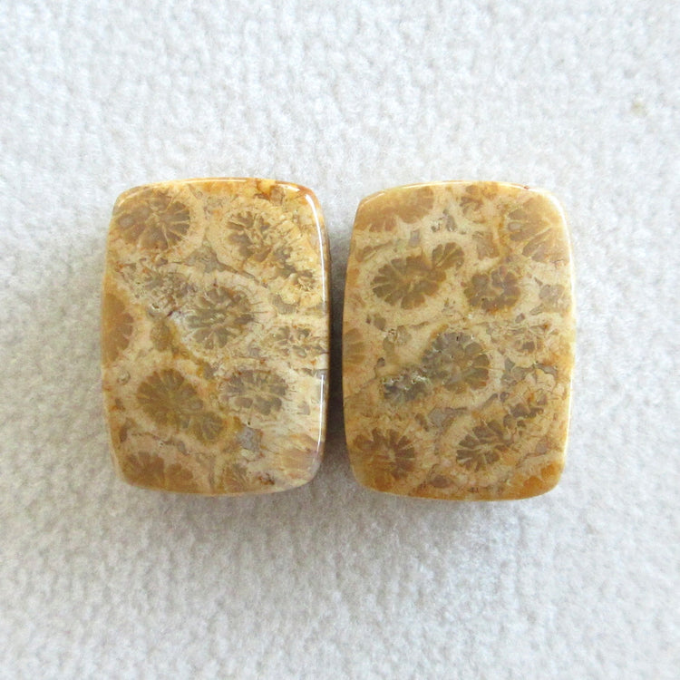 フォッシルコーラル　天然石ルースペア