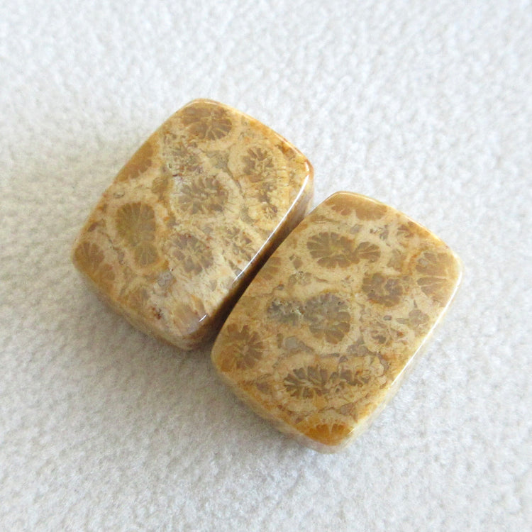 フォッシルコーラル　天然石ルースペア