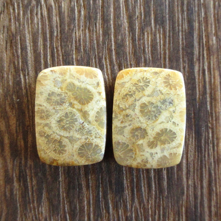 フォッシルコーラル　天然石ルースペア