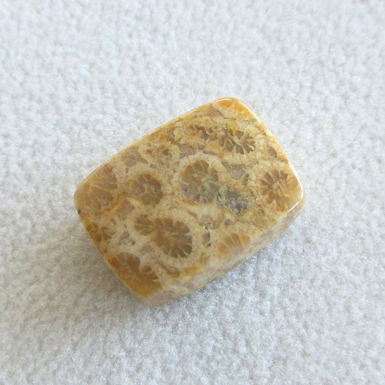 フォッシルコーラル　天然石ルースペア