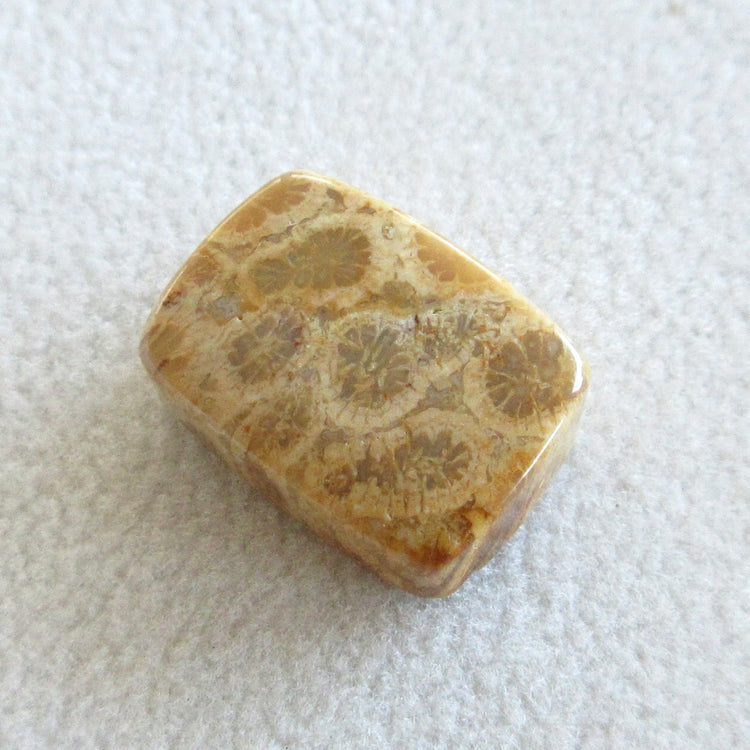 フォッシルコーラル　天然石ルースペア