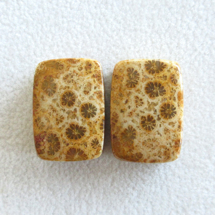 フォッシルコーラル　天然石ルースペア