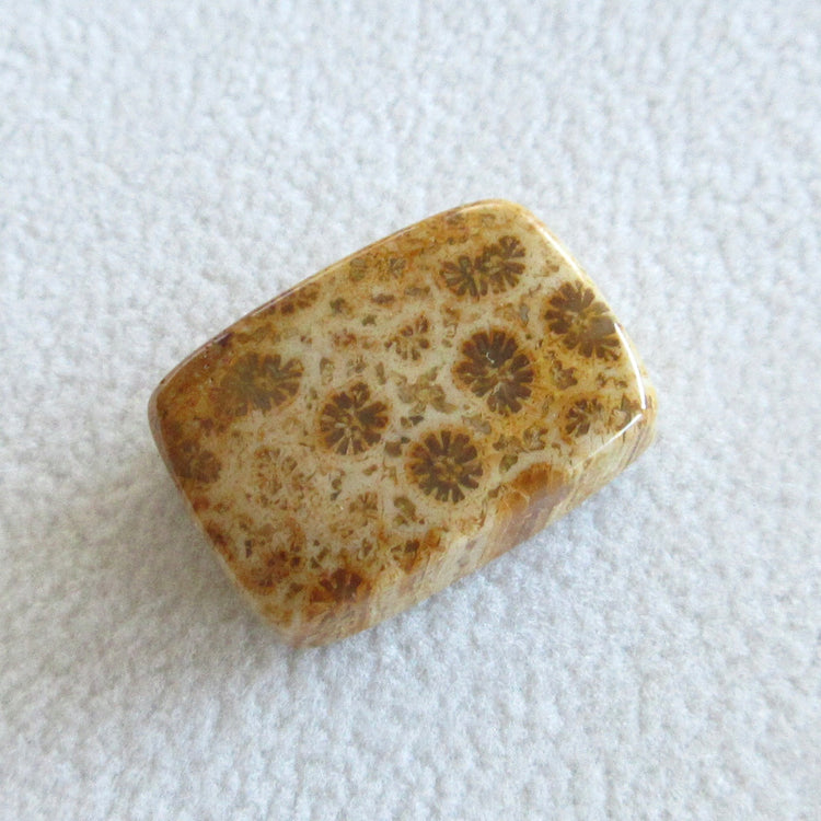 フォッシルコーラル　天然石ルースペア