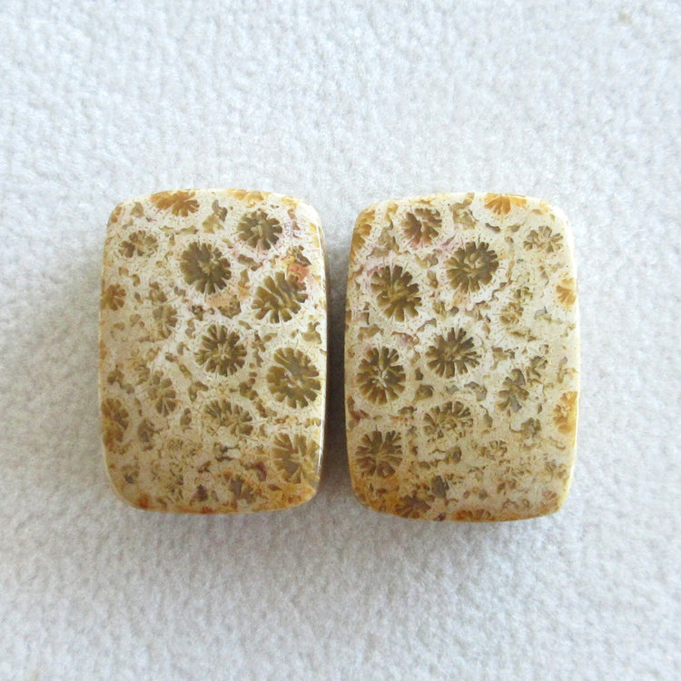 フォッシルコーラル　天然石ルースペア