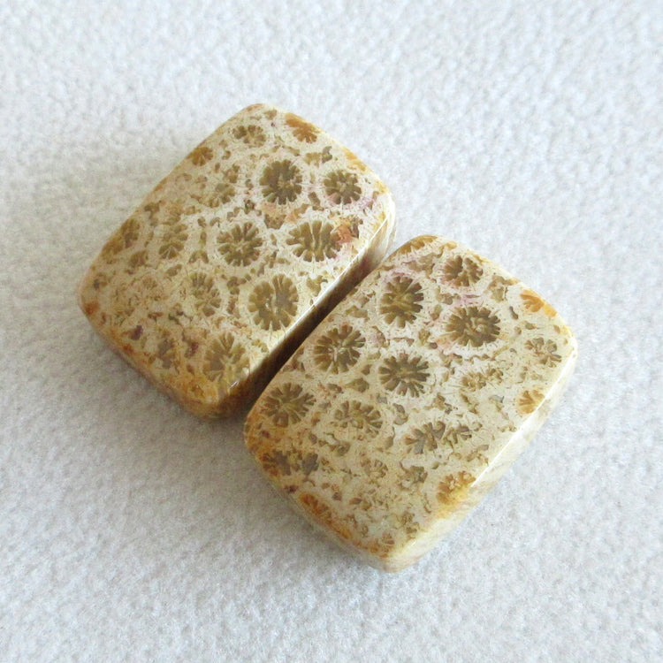 フォッシルコーラル　天然石ルースペア