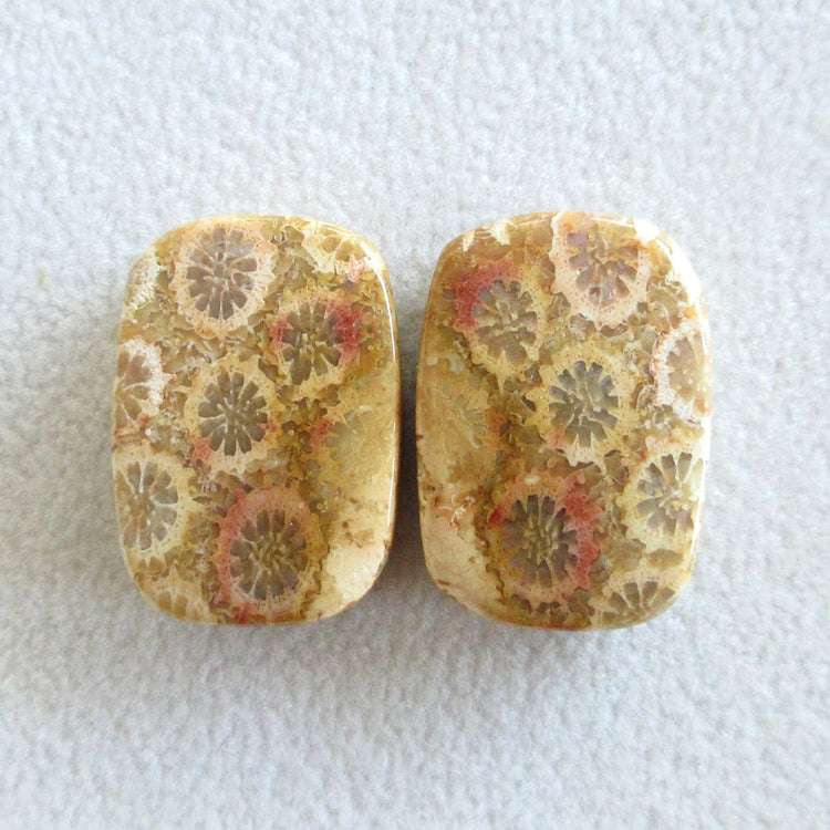 フォッシルコーラル　天然石ルースペア